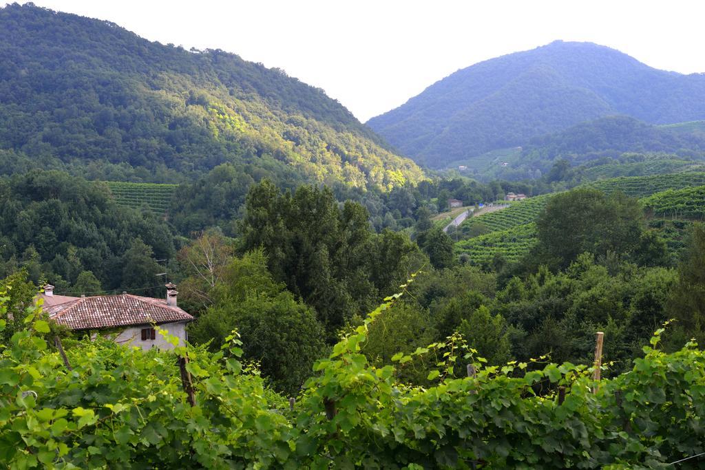 B&B Casa Di Campagna Miane Zimmer foto